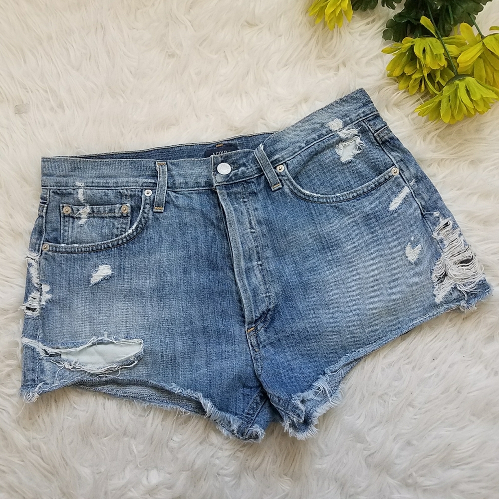 AGOLDE Parker Vintage Shorts in Springfield